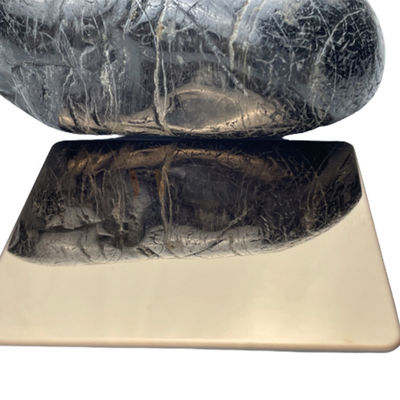 SS 316 het Duurzame Super Blad van het Spiegelroestvrije staal dat met Rose Gold Coating wordt koudgewalst