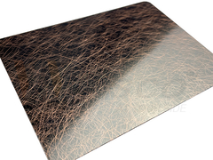 SS het donkere verkoperen die van de Trillingsspiegel Antiek Blad zwart maken